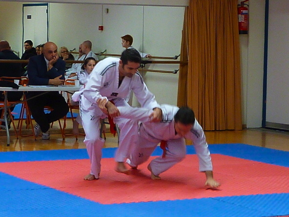 p3560615.jpg