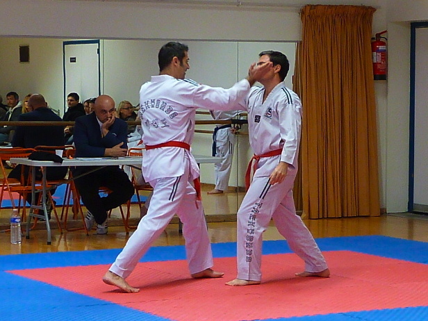 p3560635.jpg