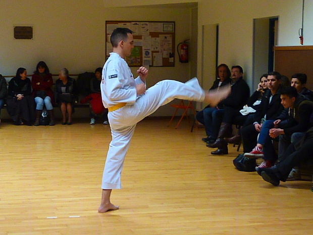 p3580551.jpg