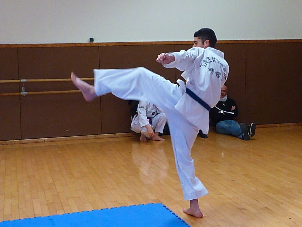 p3590281.jpg