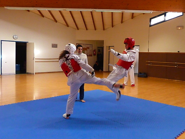 p3600189.jpg