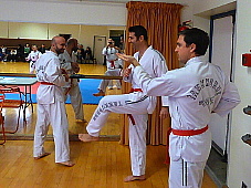 p3550496.jpg