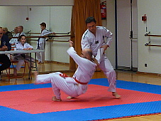 p3560438.jpg