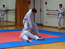 p3560446.jpg
