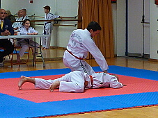 p3560498.jpg