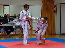 p3560586.jpg