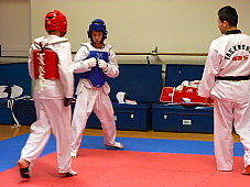 p3570365.jpg