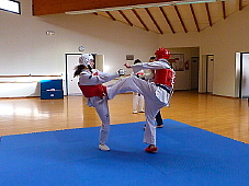 p3590993.jpg