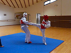 p3600297.jpg