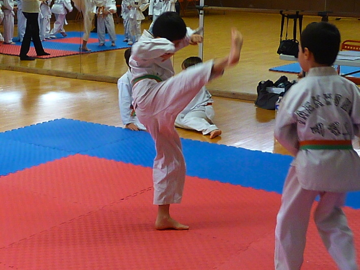 p3550436.jpg