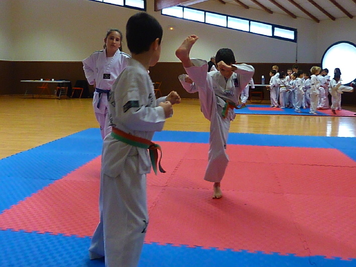 p3550479.jpg