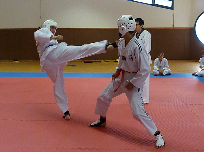 p3860546.jpg