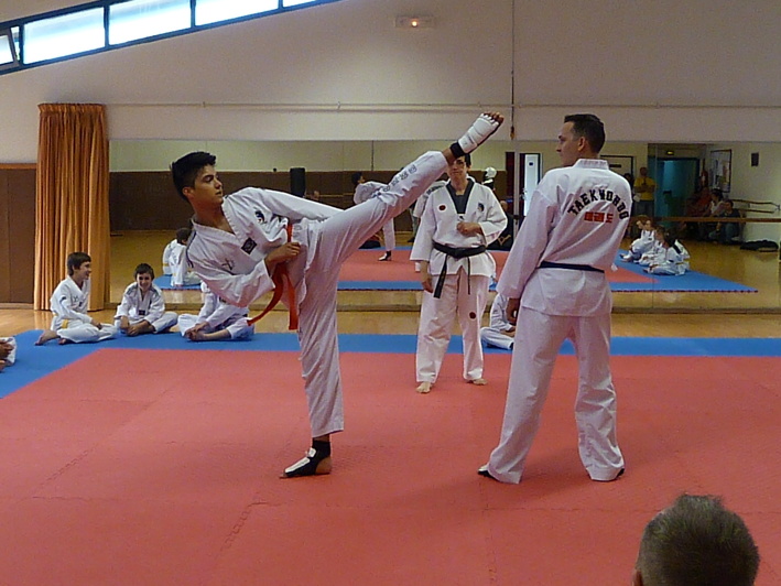 p3860584.jpg