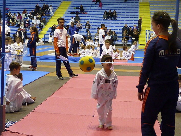 p4200494.jpg