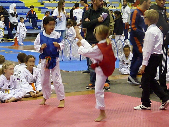 p4210299.jpg