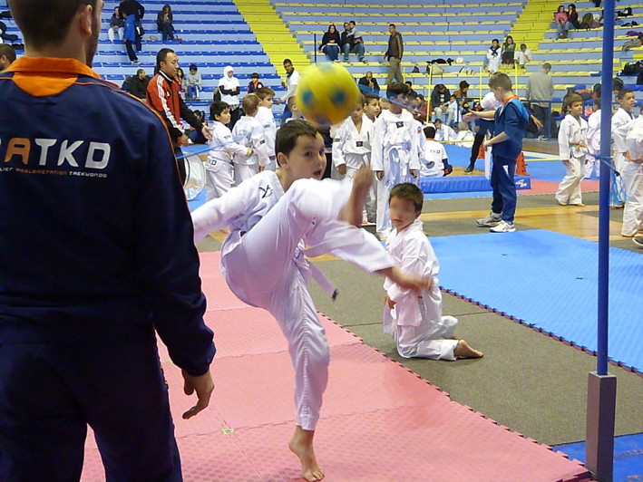p4210359.jpg