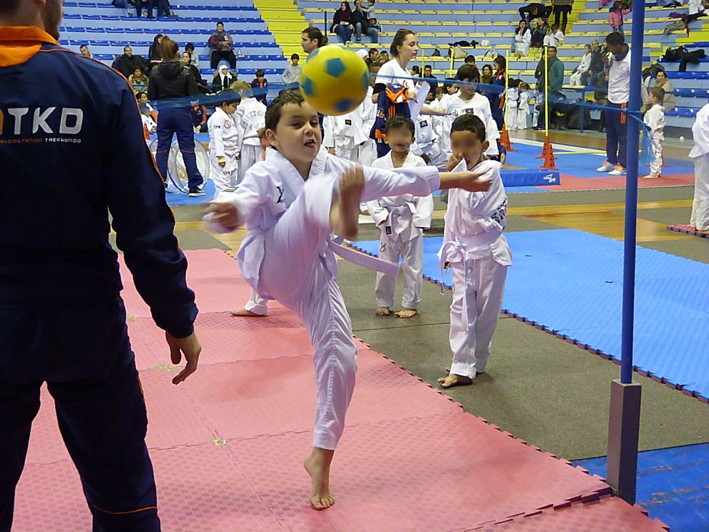 p4210380.jpg