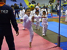 p4210380.jpg