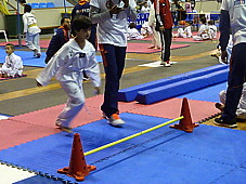 p4210555.jpg