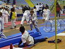 p4210773.jpg