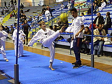 p4220045.jpg