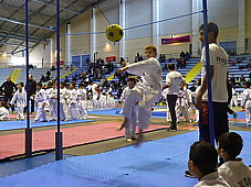 p4220100.jpg