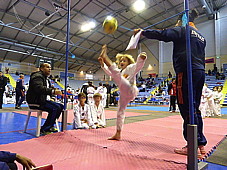 p4230356.jpg