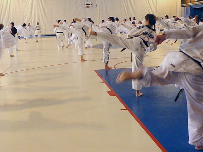 p3680446.jpg