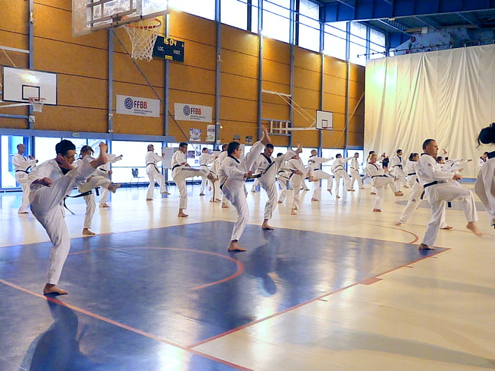 p3680495.jpg