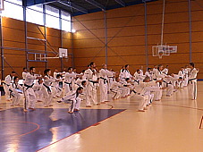 p3670272.jpg