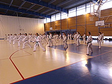 p3670343.jpg