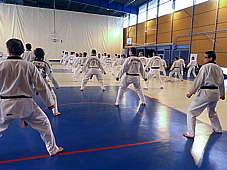 p3680362.jpg