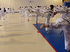 p3680446.jpg
