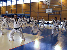 p3680582.jpg