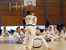 p3690592.jpg