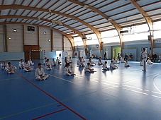 p3780995.jpg