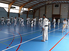 p3790089.jpg