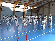 p3790117.jpg