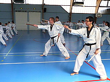 p3790345.jpg
