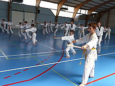 p3790357.jpg