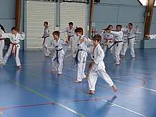 p3790363.jpg
