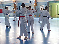 p3790747.jpg