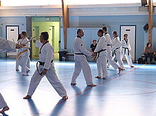 p3790753.jpg