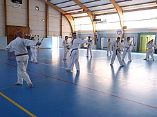 p3790765.jpg