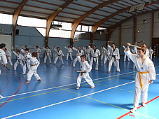 p3790797.jpg