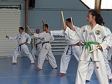 p3790867.jpg