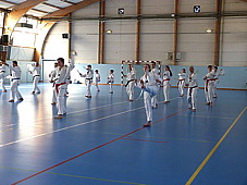 p3800546.jpg