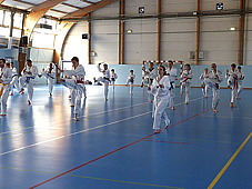 p3800554.jpg