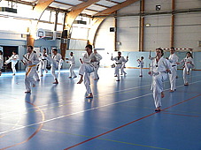 p3800568.jpg