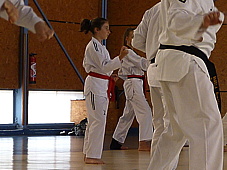 p4040383.jpg
